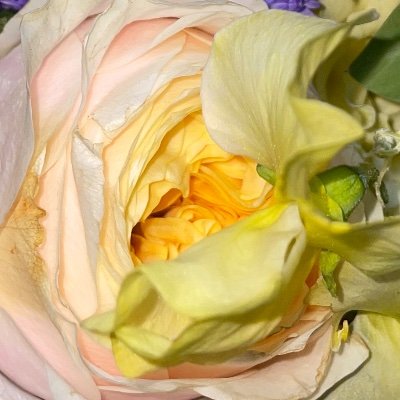 puemsyaj's profile picture. ちゃん