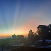 Sam ሳም ⚖️❤️💛💚 ⚖️ (@slemma2) 's Twitter Profile