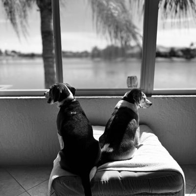 PathLessChosen's profile picture. 