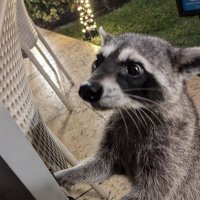 crypto enthusiast (@piyushmalh40452) 's Twitter Profile