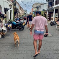Rushil Pasqual (@rushilpasqual) 's Twitter Profile