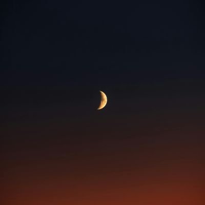 Quantr1x's profile picture. 