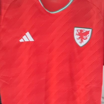 football journalist
Swansea city
Welsh football
we want your stories