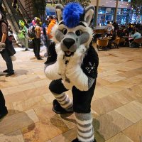 Winter Wolf โ๏ธ ๐บโ๏ธ (@winterwolf366) 's Twitter Profile Photo Winter Wolf โ๏ธ ๐บโ๏ธ (@winterwolf366) 's Twitter Profile Photo