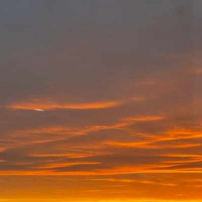 LsSerai's profile picture. 