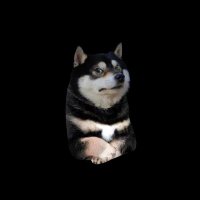Kabona (@cryptokabona) 's Twitter Profile Photo Kabona (@cryptokabona) 's Twitter Profile Photo