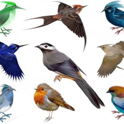 thisan_saant's profile picture. 