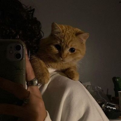 jeffbezoz159's profile picture. Crypto Analyst