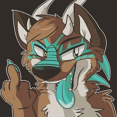 Fuck Naziさんのプロフィール画像