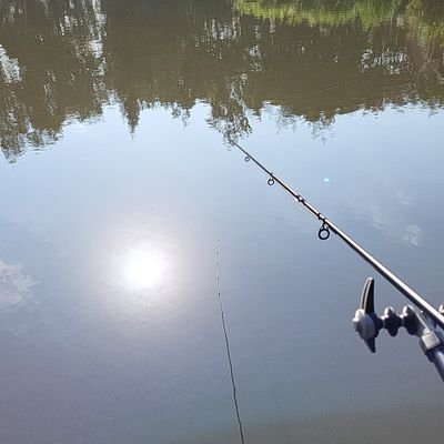 BobGolf198306's profile picture. My fatigue is at an epic high. 
Time to send them all back.