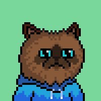 Harry (@hvrry0x) 's Twitter Profile