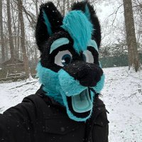 Mika the Wolf (@mikathewolf_) 's Twitter Profile