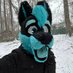 Mika the Wolf (@mikathewolf_) Twitter profile photo Mika the Wolf (@mikathewolf_) Twitter profile photo