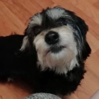 Daniel 🇩🇪 (@danielweih16120) Twitter profile photo