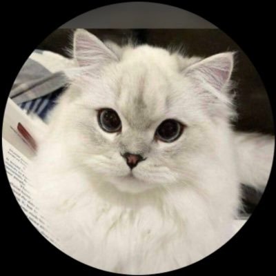 ibkhadeey's profile picture. Catering service /ar Biochemistries🧬🔬/mum last born💞🤩 chocolate🍫 lover/ RIJF dad🥹😭