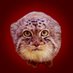poromanul (@polpotaliveinua) Twitter profile photo poromanul (@polpotaliveinua) Twitter profile photo