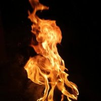 Willie Wonker (@williew91903) 's Twitter Profile