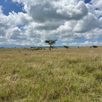 crimson253100's profile picture. Nothing Changes If Nothing Changes…