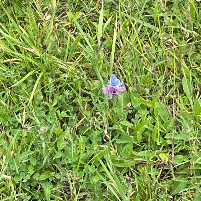 judithlameuse's profile picture. 