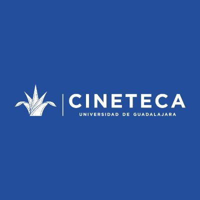 Cineteca FICG Profile