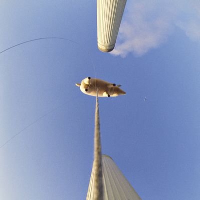 Glanton1892's profile picture. YNWA Wish You Were Here