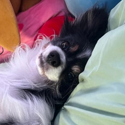 1nsum's profile picture. idk what to put here but I play lads, bg3, ow, and mr! ᕦ(ò_óˇ)ᕤ (plus, I’m relearning to draw atm)