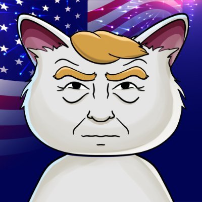 CA: 3vWoEFW9HzHUemY5usqyDyfCzf1QutWVmSrsdEaKpump