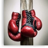 رجل من العصر الحجري (@al_hosk) Twitter profile photo