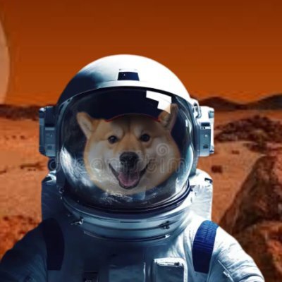 DogeToTheMars99's profile picture. https://t.co/3ybtgUo6MF