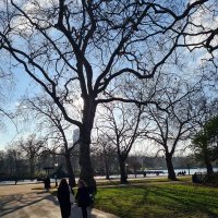 Kuwait777 (@hussainalk99596) Twitter profile photo