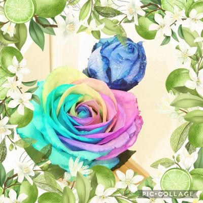 Rainbow358aa88's profile picture. 介護福祉士/フルタイム//障害者GH勤務(休職中)/癌サバイバー/高2息子のママ//料理🍴/スィーツ/パン🍞/虹・彩雲大好き🌈旅行/美容/映画/🍺☕🍷🍸好き/TDL・USJ/ＲＴ→ＲＴあったらすみません🙏🙏 無言フォローOK🤗