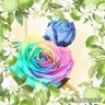 Rainbow358aa88's profile picture. 介護福祉士/フルタイム//障害者GH勤務(休職中)/癌サバイバー/高2息子のママ//料理🍴/スィーツ/パン🍞/虹・彩雲大好き🌈旅行/美容/映画/🍺☕🍷🍸好き/TDL・USJ/ＲＴ→ＲＴあったらすみません🙏🙏 無言フォローOK🤗