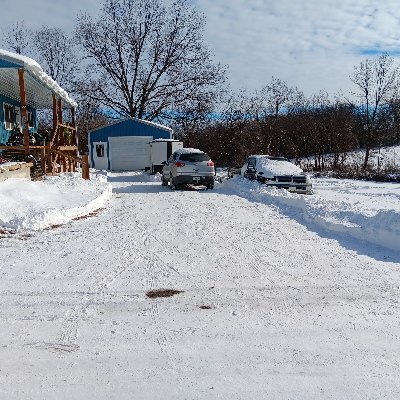 WillowHomestd's profile picture. INSTANT BLOCK IF P@&N, ROBOTS/AI/CASH APPS!!!  USAF Vet building a homestead for my family. Not Interested In Seeing Your Birthday Suit!