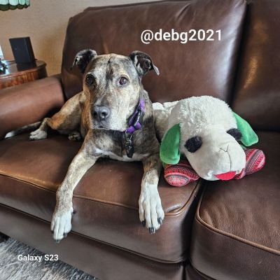 Lola-Jake-Kat 💖💙💖 Profile