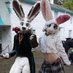 🌹Coco🌷 @cocotherabbit.bsky.social (@cocotherabbit3) Twitter profile photo 🌹Coco🌷 @cocotherabbit.bsky.social (@cocotherabbit3) Twitter profile photo