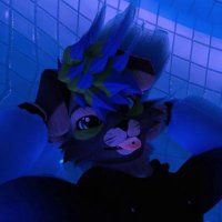 SkyeTheFolf (@skyethefolf) 's Twitter Profile