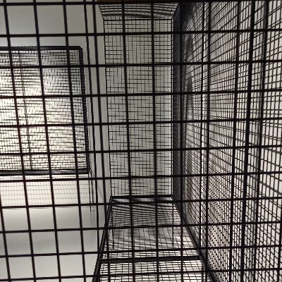 KMP2030's profile picture. 