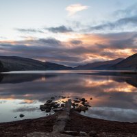 kennyd (@kennyd732019) 's Twitter Profile