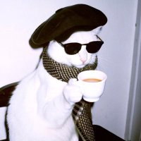 pawee review (@paweereview) 's Twitter Profile