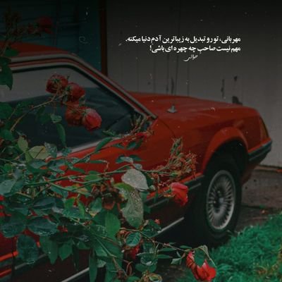 SeyedeC's profile picture. منتظر