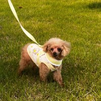 초코라떼 (@jeonsoyeon62744) 's Twitter Profile