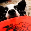 Scott Hamrick - @ScottHamrick - Twitter