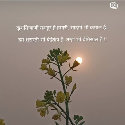 खुशमिजाजी मशहूर है हमारी, सादगी भी कमाल है ..
हम शरारती भी बेइंतेहा हैं , तन्हा भी बेमिसाल हैं !!