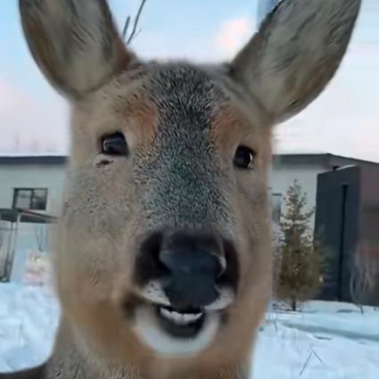 zolvityy's profile picture. 