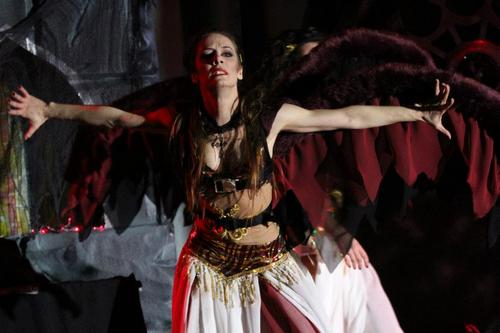 anesithas's profile picture. 