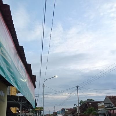 joyboy31__'s profile picture. fetish ketek hairless | edging | milker | bondage | slim 50kg  Bi-TDom |
no chub please..