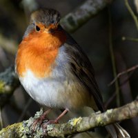 Camperola trapellota 😜 (@camperola) 's Twitter Profile Photo