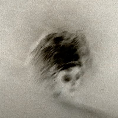 teether Profile