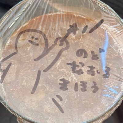 うにさんのプロフィール画像