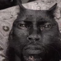 Moscow (@robertomld7) 's Twitter Profile